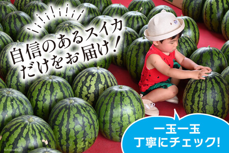 AH167 【令和8年度出荷分】絶品！大玉スイカ 〜 羅皇（ ラオウ ）〜（ L/2Lサイズ 6kg以上 ）[ スイカ すいか 大玉 野菜 果物 フルーツ 吉田農園 長崎県 島原市]
