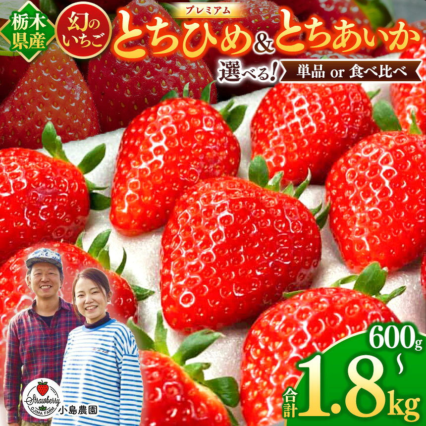 【ふるさと納税】【2027年先行予約】とちひめ とちあいか プレミアム 幻 の いちご 選べる 容量｜600g 1200g 1800g 希少 柔らかい 果肉 大粒 ジューシー 果汁 いちご 苺 特産品 ストロベリー strawberry スイーツ お取り寄せ ご褒美 贈答用 プレゼント ご褒美 栃木県 真岡市