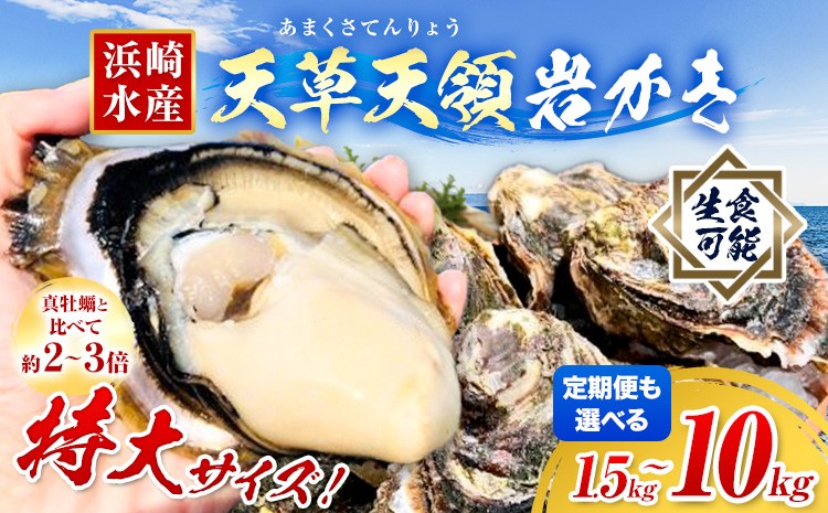 
                  【2027年先行予約】浜崎水産の天草天領岩かき 選べる容量 約 1.5kg 2.5kg 5kg 2回定期便 《出荷時期をお選びください》 【配送不可地域あり】 海鮮 海産物 海の幸 シーフード 魚貝類 かき 牡蠣 カキ 岩かき 岩牡蠣 夏牡蠣 生食用 生もの 濃厚 熊本県 苓北町
                