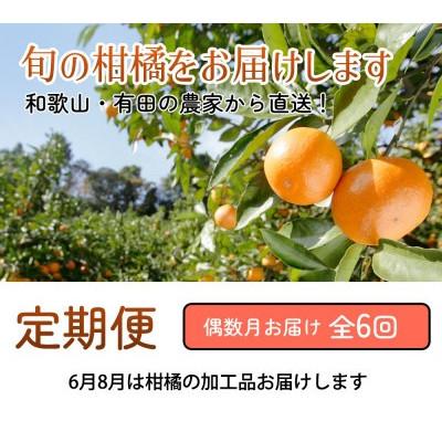 ふるさと納税 広川町 【発送月固定定期便】家庭用 柑橘定期便M(偶数月)全6回 |  | 01
