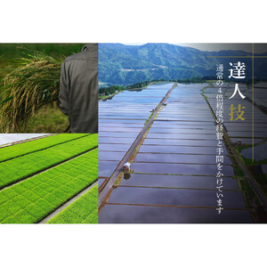 【定期便 6ヶ月】【令和7年産】魚沼産コシヒカリ 雪椿 5kg(5kg×1袋) × 6回 特別栽培米