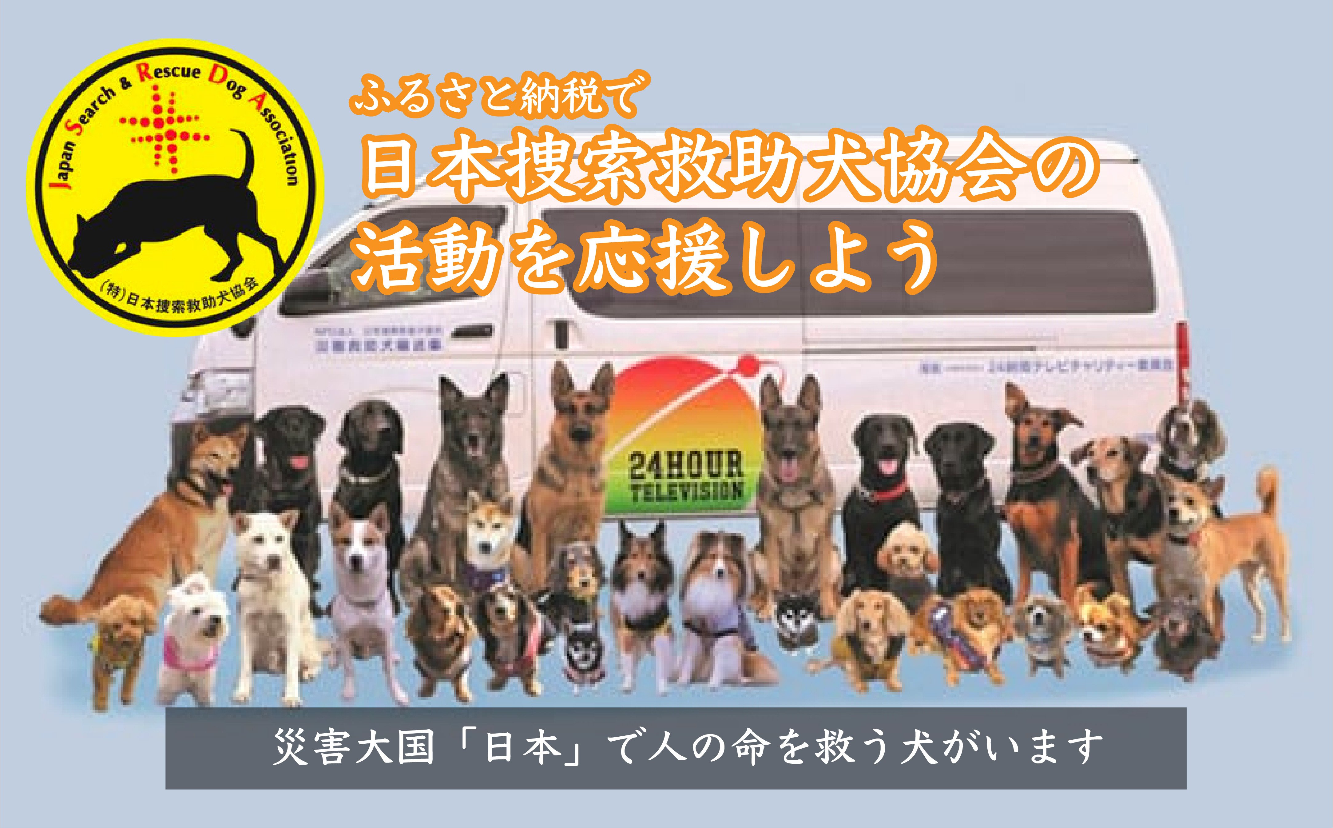 
            【思いやり型返礼品】日本捜索救助犬協会の活動を応援！1万円 ｜ 被災地支援 感謝状 埼玉県 救助犬育成 犬猫保護 社会貢献活動 災害 防災 救助 犬 猫 被災 被災地 地震 水害 大災害 命 いのち 助ける 思いやり 助け合い 
          