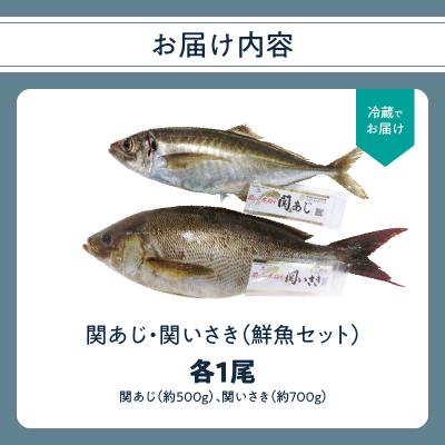 ふるさと納税 大分市 関あじ・関いさき(鮮魚)セット(各1尾)_E04022 |  | 02