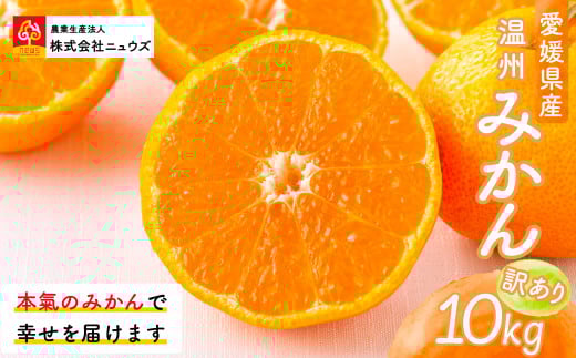 【先行予約】【訳あり】温州みかん 10kg ※離島への配送不可（2025年11月上旬より順次発送） 【 ふるさと納税 人気 おすすめ ランキング みかん ミカン 蜜柑 温州みかん 温州ミカン 訳あり フルーツ 果物 産地直送 ニュウズ 愛媛県産 愛媛県 伊方町 送料無料 】 IKTF028