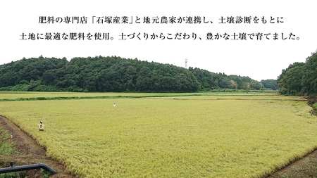 【 令和7年産 】 極上ふるさと米 精米 5kg (茨城県共通返礼品 かすみがうら市)  [EX031sa]