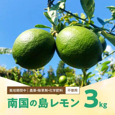 ふるさと納税 和泊町 栽培期間中　農薬・除草剤・化学肥料不使用!南国の島レモン3キロ