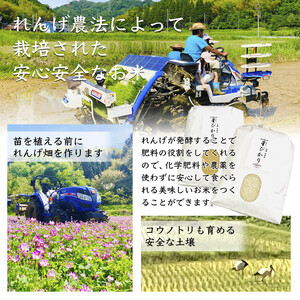 【令和7年産】新米 コシヒカリ精米10kg | お米 米 新米 精米 白米