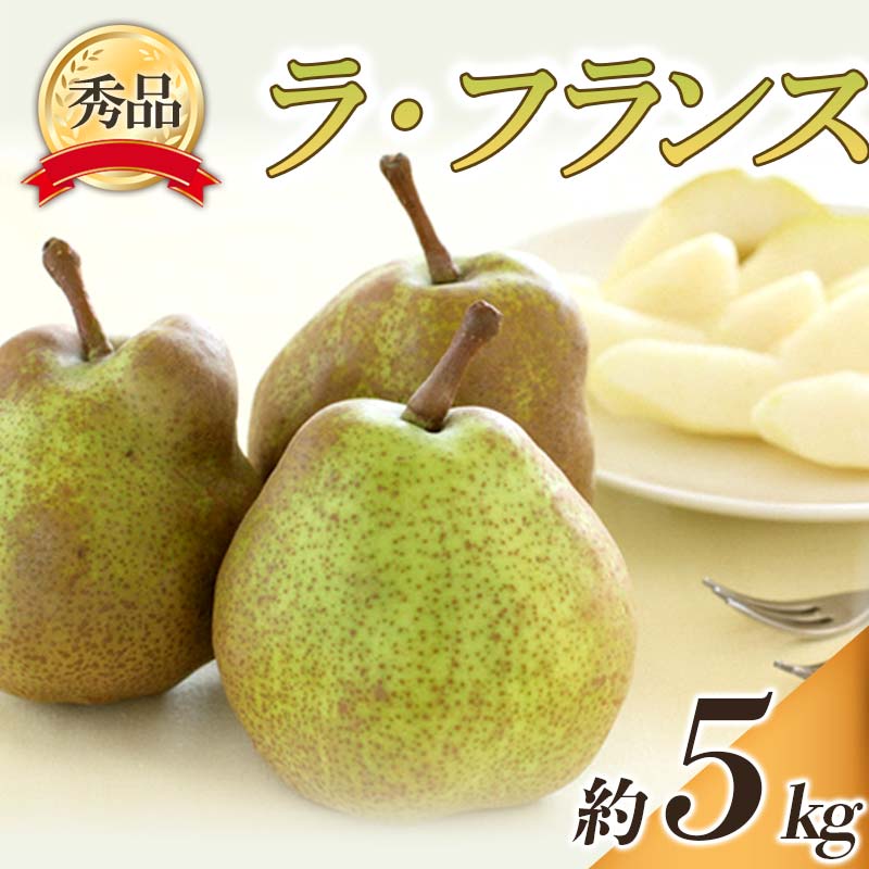 【ふるさと納税】 【令和8年産先行予約】 ラ・フランス 約5kg (10～22玉 秀) 《令和8年10月下旬～11月下旬発送》 『フードシステムズ』 ラフランス 西洋梨 洋なし 果物 フルーツ デザート 山形県 南陽市 [849-R8]