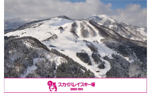 
スカイバレイスキー場リフト1日券（大人＋小学生）＋食事券2000円分 スキーチケット 体験チケット リフト券 スキー スキーリフト券 1日券 お礼の品 スキー場 一日券 スノーボード スノボ 兵庫県 冬 旅行 イベント 有効期限 2023/24シーズン終了まで 兵庫県 香美町 村岡 ユースランド 18-04
