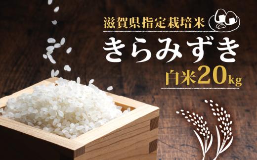 新米 【令和6年10月中旬より順次発送】 きらみずき 白米 20kg 2024年産  化学肥料不使用 滋賀県指定栽培米 国産 安心 安全 近江米 米 お米 白米 お弁当 玄米 産地直送 滋賀県 竜王町 送料無料