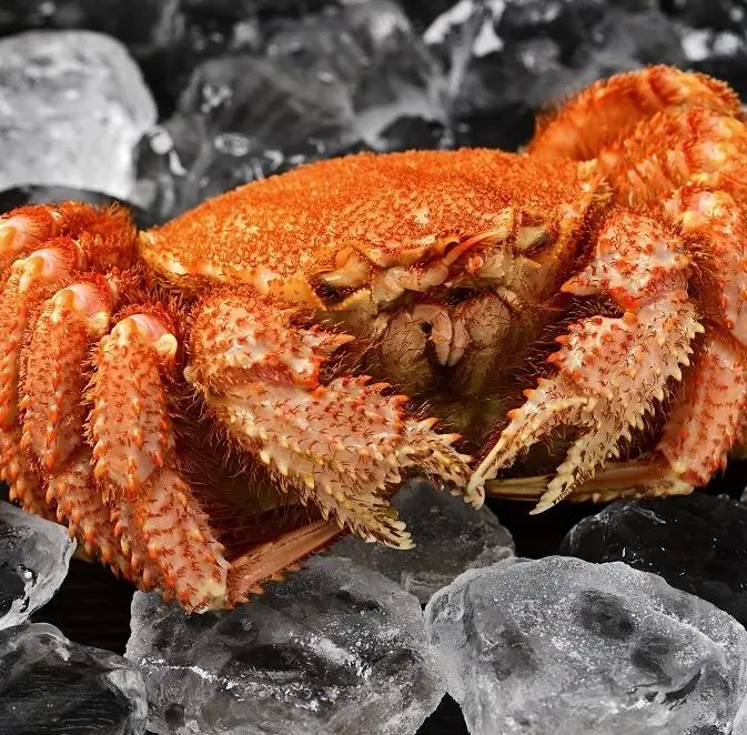 高評価5.0 活ゆで毛蟹 2尾で700～770g【冷蔵】カニ 毛ガニ 蟹 北海道かに 北海道カニ 国産カニ 蟹 かに 毛がに