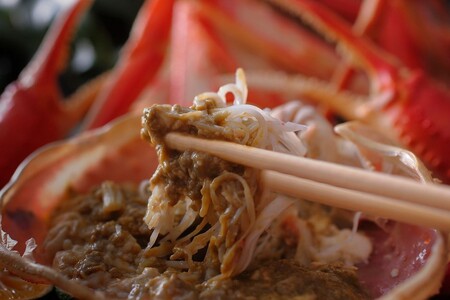 【創業明治元年　間人 炭平旅館の味】はしうど蟹　1000g級　茹で蟹　上1杯　【2025年発送】