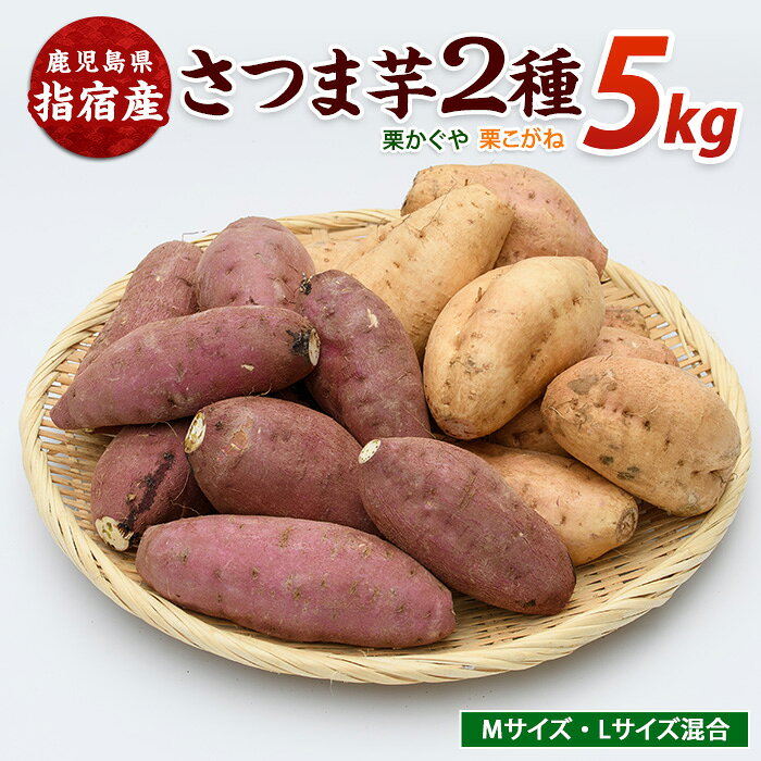 【ふるさと納税】＜2026年11月上旬以降順次発送＞さつまいも2種(栗かぐや・栗こがね)詰合せ 約5kg さつまいも サツマイモ 栗かぐや 栗こがね 芋 野菜 大容量 セット【らくと農園】