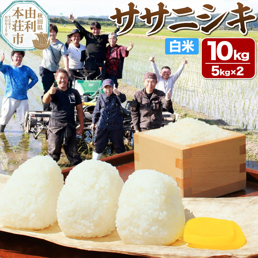 【白米】秋田県由利本荘市産 ササニシキ 10kg（5kg×2袋）令和6年産
