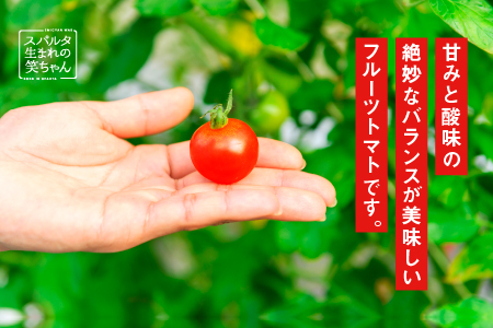 【先行予約】【ギフト】スパルタ生まれの笑ちゃんトマト(200g×6パック入) GC-2 【11月中旬以降順次発送】 先行予約 先行受付  産地直送 フルーツトマトトマト フルティカ 完熟 トマト トマ