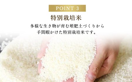 高本さんちのお米 コシヒカリ【特別栽培米】5kg×5袋（一度にまとめて配送） AS2F5