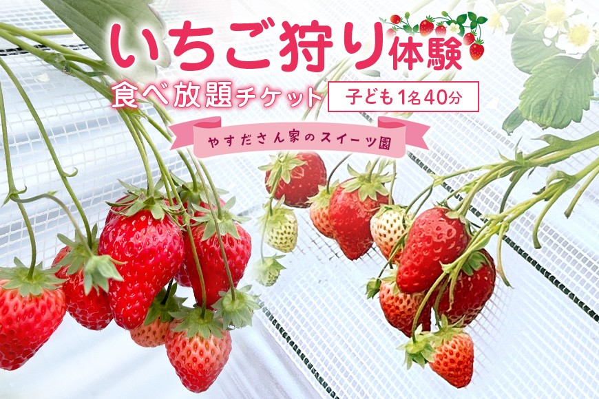 
                  やすださん家のスイーツ園 いちご食べ放題 子ども1名（4歳以上小学生以下）40分食べ放題チケット イチゴ 苺 いちご いちご狩り 食べ放題 フルーツ 果物 フルーツ狩り チケット 体験 茨城県 楽しい 季節 農園 果物狩り 味覚狩り 19-H
                