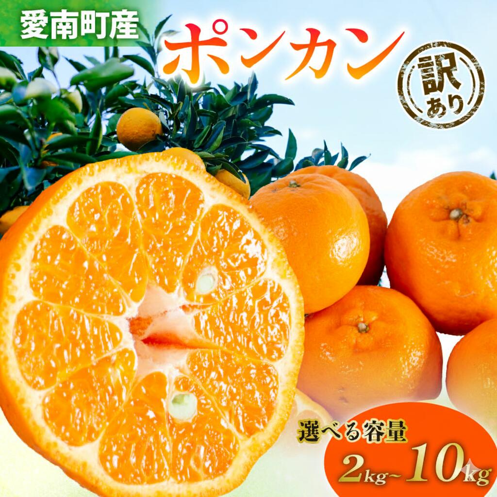 【ふるさと納税】高評価★4.62 選べる 内容量 訳あり ポンカン 2kg 3kg 5kg 10kg ふるさと納税 フルーツ 果物 少量 みかん 柑橘 果実 くだもの フルーツ デコポン ぽんかん 冬 規格外 不揃い 愛媛県 愛南町 清家ばんかんビレッジ