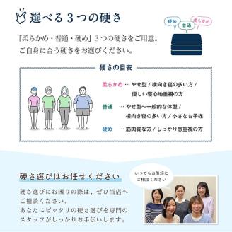 高反発寝具ブレスエアー製敷布団「ロイヤルS」　AO01　近江化成