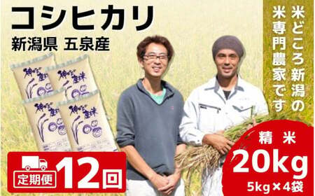 【令和6年産新米】〈12回定期便〉「わくわく農場」の五泉産 精米 コシヒカリ 20kg(5kg×4)［2024年10月中旬以降順次発送］ わくわく農場