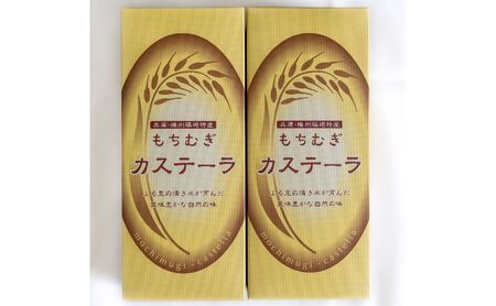 もちむぎカステラ2本セット カステラ 贈り物 ギフト もち麦