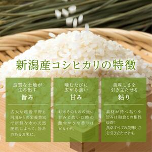 無洗米 新潟県産コシヒカリ 5kg 無洗米 産地直送