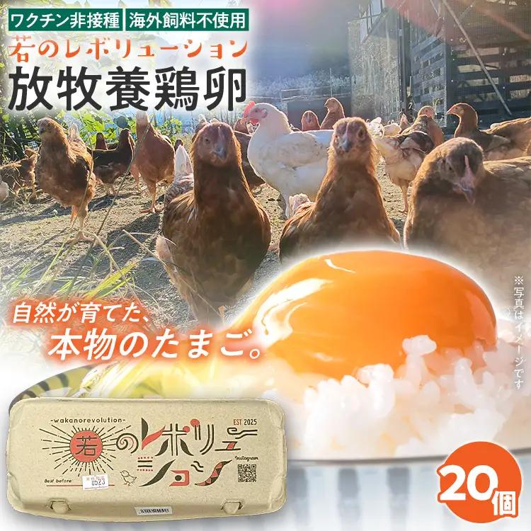 卵 放牧養鶏卵 20個 「破損補償2個含」 若のレボリューション 卵 ※北海道・沖縄・離島は配送不可
