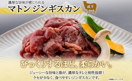 長野県 不動温泉 さぎり荘 謹製 マトンジンギスカン 250g×2袋 計1kg 羊肉 マトン 味付き 肉 お肉 ジンギスカン 焼肉 BBQ 冷凍 小分け キャンプ  羊 おかず ストック お取り寄せ 