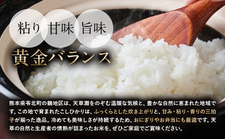 令和7年産 米 コシヒカリ 白米 10kg 鶴地区龍の里ふるさと会《8月中旬-8月末頃出荷》生産者直送 新米 早期米 天草 苓北 鶴 地区 龍 の里 蛍 国産 九州 熊本 名水 百選 5キロ 送料無料