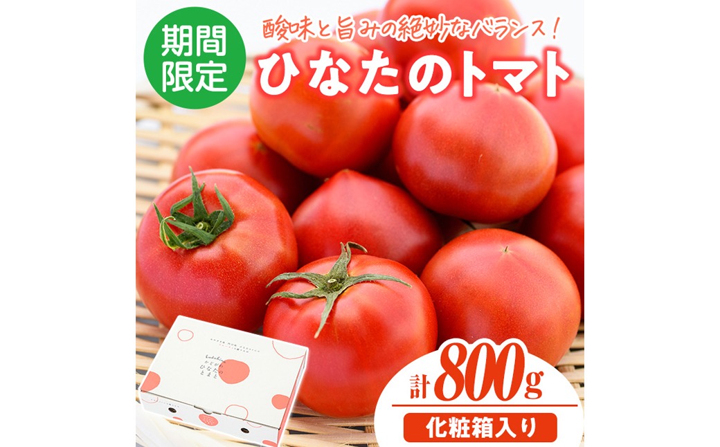 ＜先行予約受付中！2026年2月から5月の間に発送予定＞門川ひなたのトマト(800g×1箱) 高糖度 トマト フルーツトマト 野菜 旬野菜 冷蔵 門川町産 宮崎県 門川町 【宮崎県農業協同組合日向地区本部(門川選果場)】【TM-01】