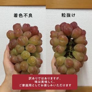 【きよとうファーム】訳ありご家庭用 ハートの形が可愛い!マイハート/ 約2.4kg (岡山県産)【配送不可地域：離島】【1633184】