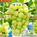 【ふるさと納税】 ぶどう ＜ 雄宝 1房 約1kg＞ ※翌月末迄に順次出荷します。 高級 スイーツ 果物 フルーツ 鴻上農園 愛媛県 西条市 【冷蔵】