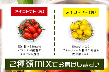 岩永さんちの カラフル ミニトマト | アイコ赤･黄MIX 3kg |【農林水産大臣賞受賞】有機肥料・化学肥料不使用 | 生産者直送 野菜 トマト 3kg とまと プチトマト サラダ やさい 旬 新鮮
