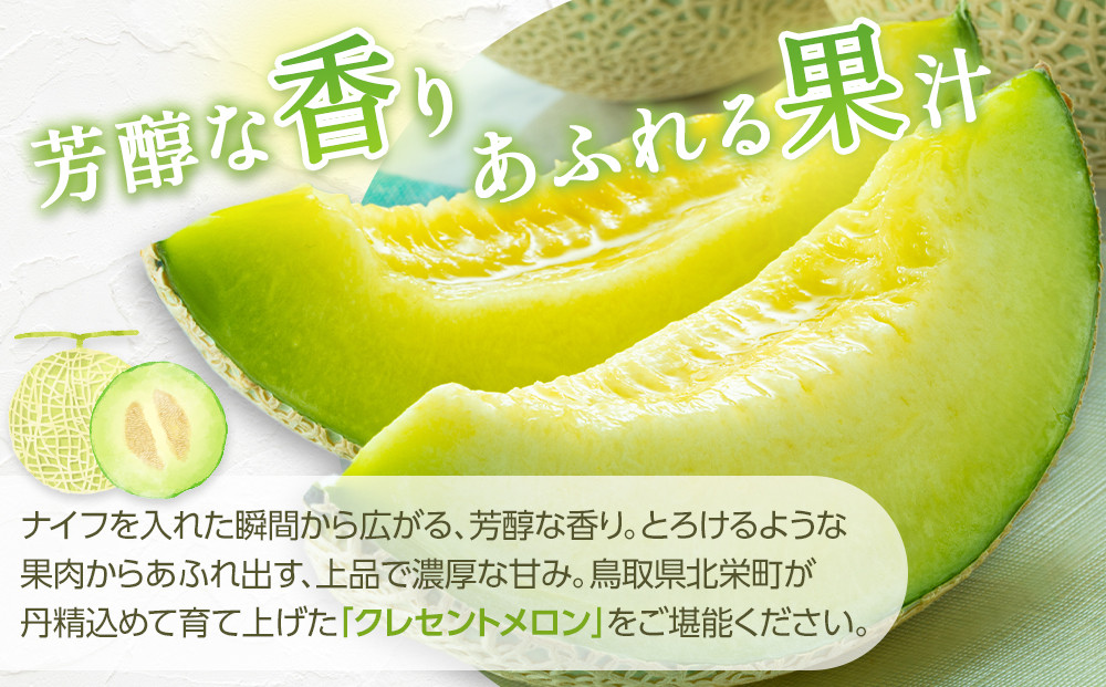783.【先行予約】青肉メロンの新星「クレセントメロン」満足の２玉セット　※2025年７月中旬より順次発送予定