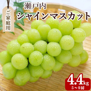 【ふるさと納税】期間限定 シャインマスカット ご家庭用　5～9房(約4.4kg)【配送不可地域：北海道・沖縄県・離島】