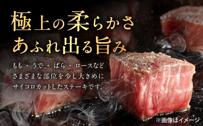 佐賀牛 サイコロステーキ 1kg（500g×2p） /MKミート武雄 [UEM028]
