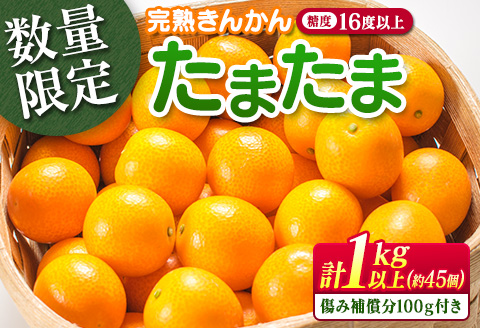 糖度16度以上 数量限定 完熟 きんかん たまたま 計1kg以上 傷み補償分付き フルーツ 果物 期間限定 ブランド 金柑 柑橘 国産 食品 人気 おすすめ A品 産地直送 ギフト 贈り物 贈答 プレゼント ご褒美 おすそ分け デザート 宮崎県 日南市 送料無料_B215-23