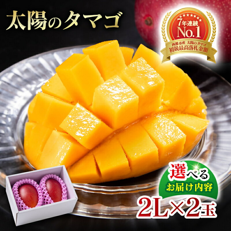 【ふるさと納税】宮崎県産 完熟マンゴー『太陽のタマゴ』2L×2個 選べる（発送月・定期便）西都市特産品【数量限定】 西都市産 人気 さいと サイト ふるさと 先行予約 果物 フルーツ