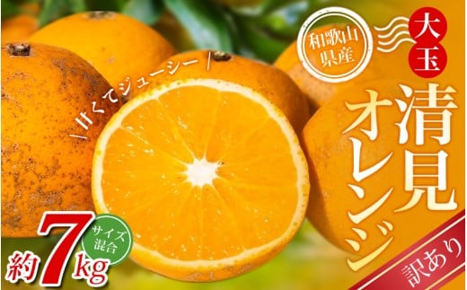 【訳あり】 森本農園の手選別 大玉清見オレンジ 約7kg 和歌山県産 サイズ混合 【北海道・沖縄・離島配送不可】【2026年2月上旬～5月中旬頃に順次発送】【BV-mrmt077】