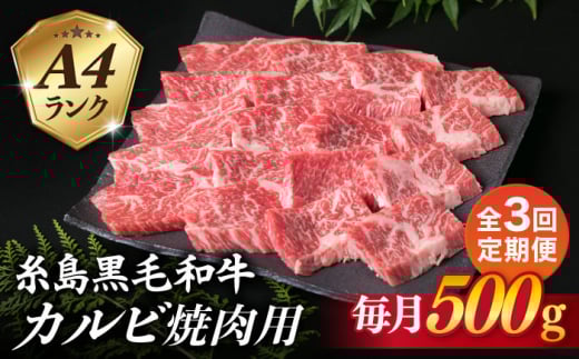 【全3回定期便】【焼肉用】A4ランク 糸島 黒毛和牛 カルビ 500g 糸島市 / 糸島ミートデリ工房 [ACA293] 博多 和牛 焼肉 焼き肉 バーベキュー BBQ 赤身 国産 キャンプ アウトドア