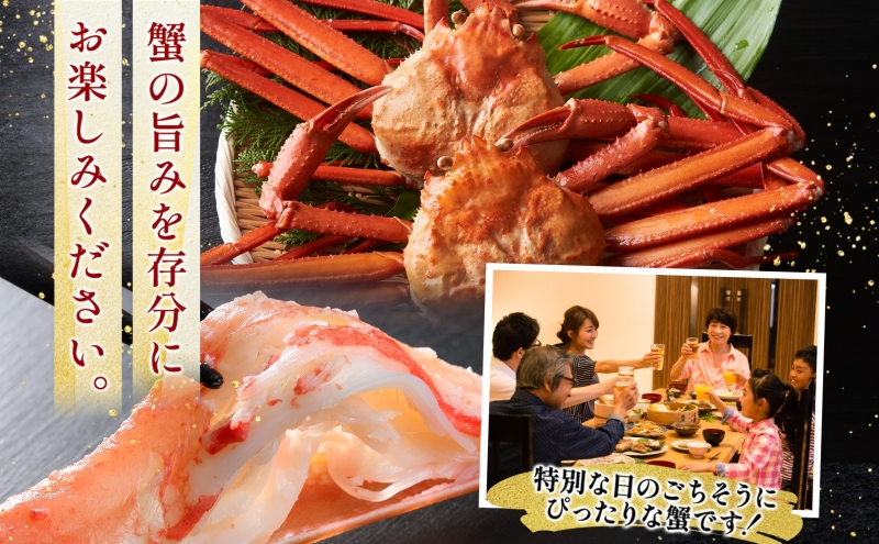 【無地熨斗】ボイルズワイガニ ビードロカット 400g前後×2P【約4人前 昆布塩加工 海鮮 ずわい かに ズワイ蟹 北国からの贈り物 冷凍】 099H3445-1