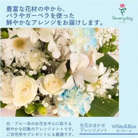 生花お任せアレンジメントM 白・ブルー系 お祝いやお誕生日におすすめ【配送不可地域：離島・沖縄県】【1636501】