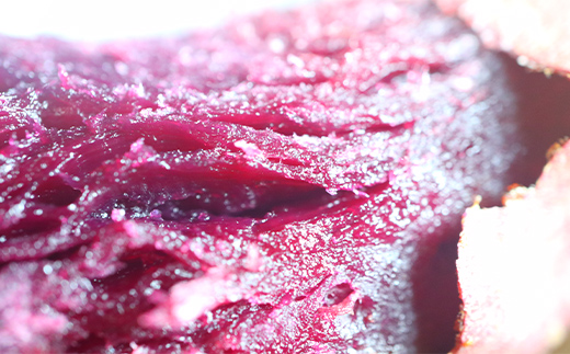 自然栽培 ふくむらさき 5kg 大～小混合 さつまいも サツマイモ 芋 F3S-2642