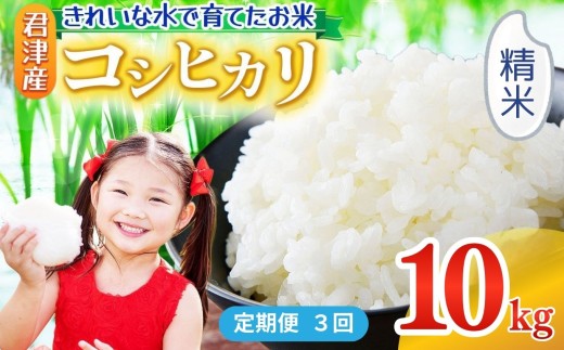 【 定期便 3回 】精米 令和7年産 コシヒカリ 10kg きれいな水で育てたお米 | 保坂農場 白米 ご飯 おにぎり 名水 おいしい水 ちばエコ農産物 君津市産 イチオシ 千葉 君津市 きみつ 房総