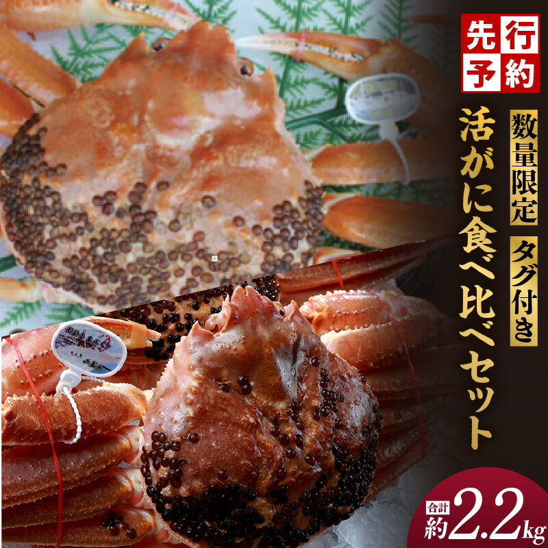 【ふるさと納税】海鮮セット 2種 タグ付き 活 松葉ガニ 黄金がに 2杯 計2.2kg 食べ比べセット カニ かに 蟹 ズワイガニ 数量限定 かにしゃぶ カニしゃぶ かにすき 焼きガニ 鍋 生 刺身 かにみそ カニ味噌 特大 お祝い ギフト 高級料亭 希少 香住産 姿 蟹 送料無料