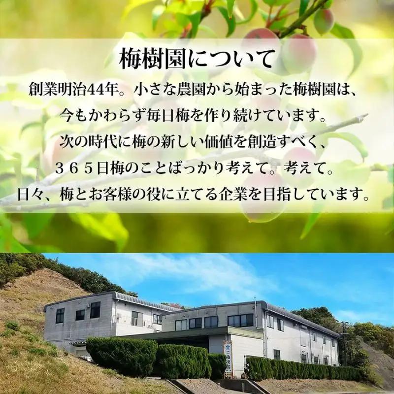 あまちゃづる梅干し1.2kg 塩分10％ 紀州南高梅 和歌山県産[ご家庭用]baijuen001B【baijuen001B】