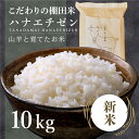 【ふるさと納税】【令和6年産】【1週間以内発送可】新米 山羊と育てた こだわりの棚田米 ハナエチゼン 10kg ＜数量限定＞ 生産者直送！ 福井のおいしいお米【お米 米 コメ こめ 棚田米 白米 精米 ごはん ご飯 北陸産 10kg 10キロ】