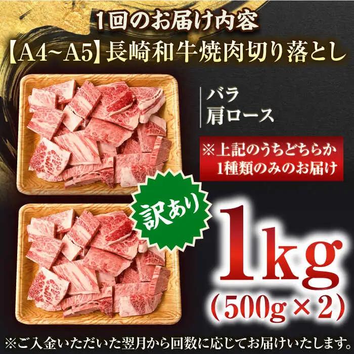 【全12回定期便】【訳あり】【A4~A5】長崎和牛焼肉切り落とし(肩ロース・バラ）　1kg（500g×2p）【株式会社 MEAT PLUS】[QBS044]