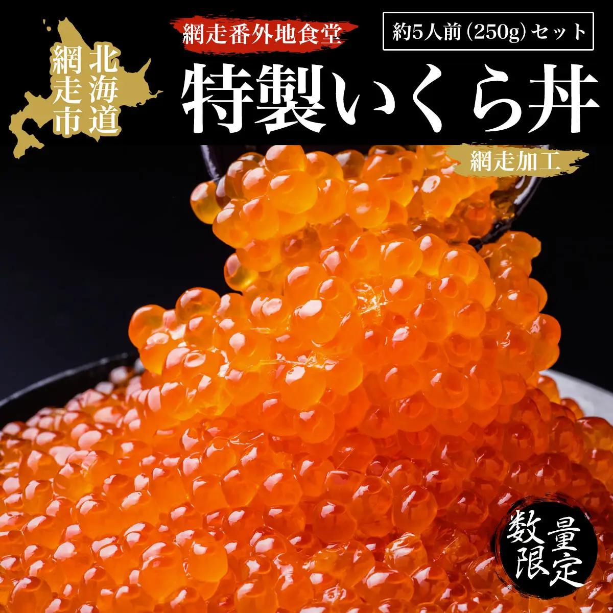 【数量限定】網走番外地食堂特製いくら丼約5人前セット（網走加工）【 ふるさと納税 人気 おすすめ ランキング いくら醤油漬 イクラ醤油漬 いくら醤油漬け イクラ醤油漬け 鮭いくら 鮭イクラ 鮭 鮭卵 いくら 醤油鮭いくら 醤油鮭イクラ 人気 さけ サケ いくら丼 イクラ丼 海鮮 新鮮 5人前 鮭卵  250g 冷凍 オホーツク 北海道 網走市 送料無料 】 ABAO2091