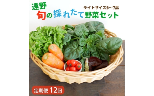 ＜毎月定期便＞旬のとれたて野菜セット(5～7品)ライトサイズ＜こんたでぃーの遠野＞全12回【4066188】